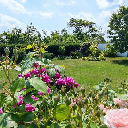 Am Schweriner Aussensee Appartement