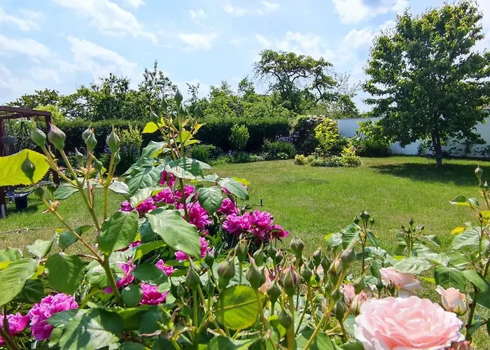 Am Schweriner Aussensee Appartamento